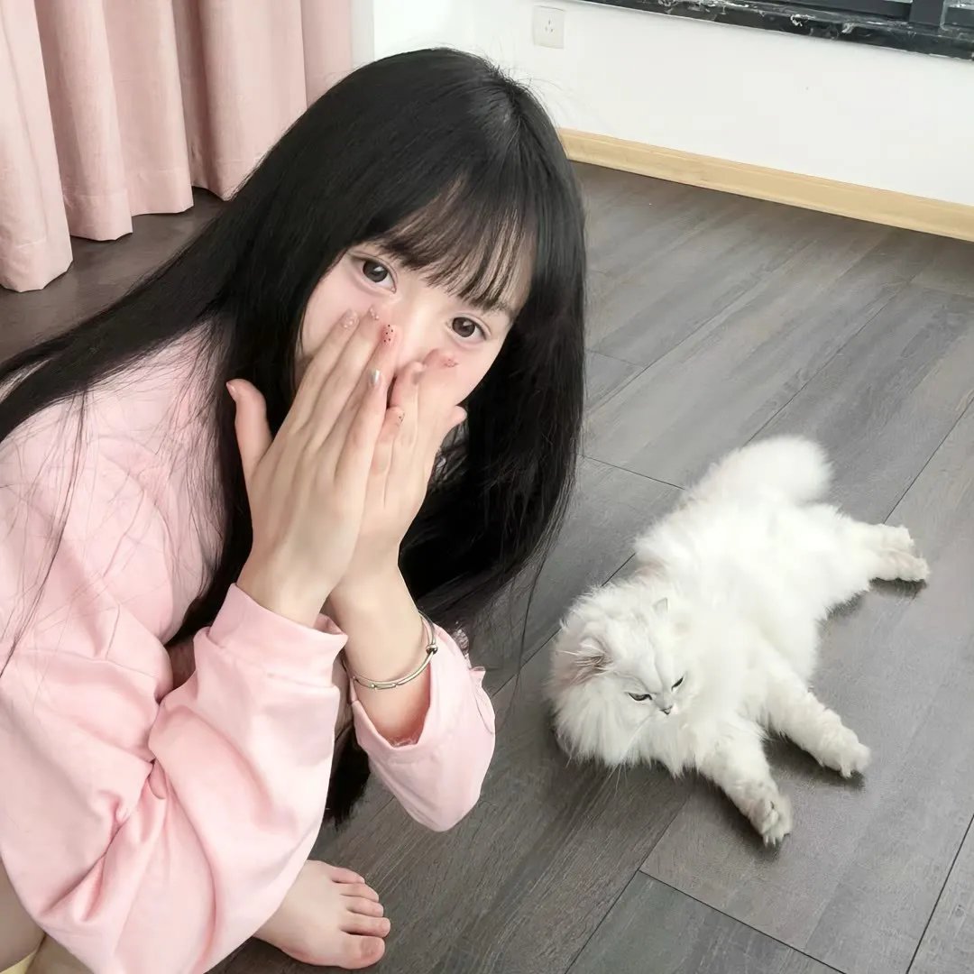 金牌贱猫:重新出击